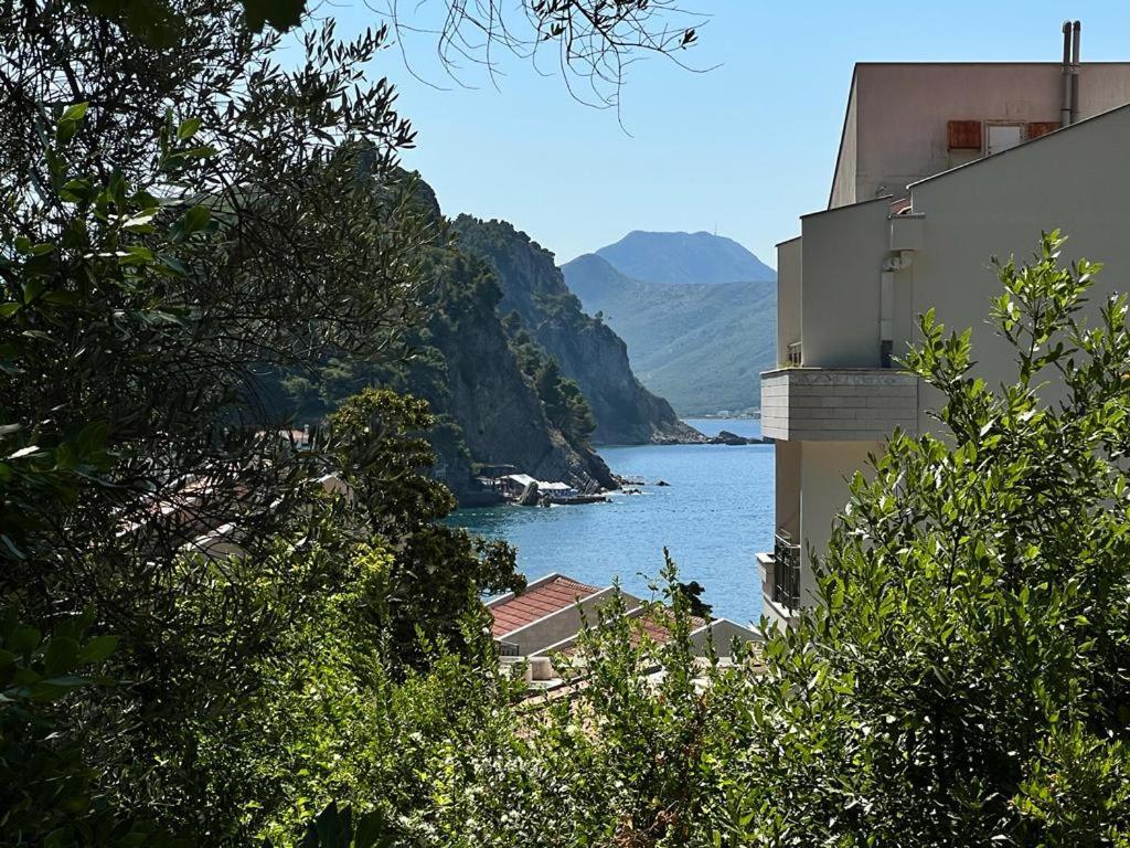 Vista Petrovac Lägenhet Exteriör bild