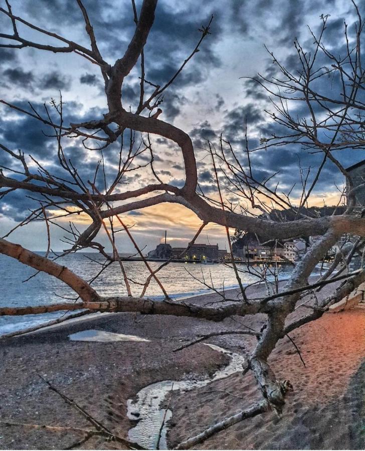 Vista Petrovac Lägenhet Exteriör bild